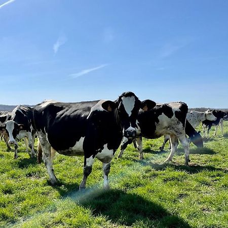 Chambre A La Ferme Precy-le-Sec Ngoại thất bức ảnh